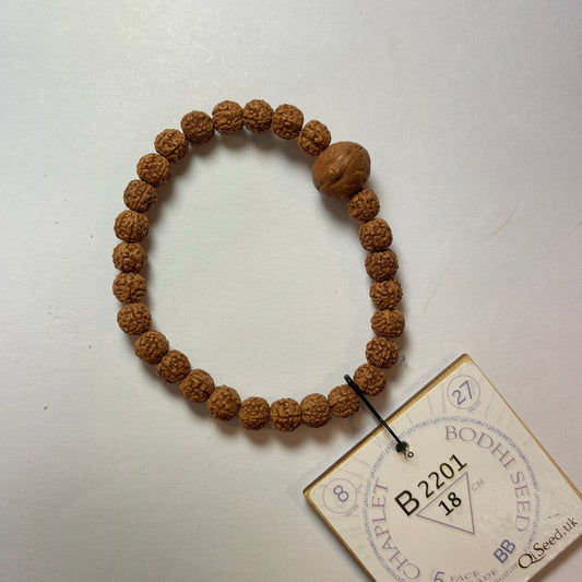 B2201 - Bodhi Seed Chaplet 18 cm L