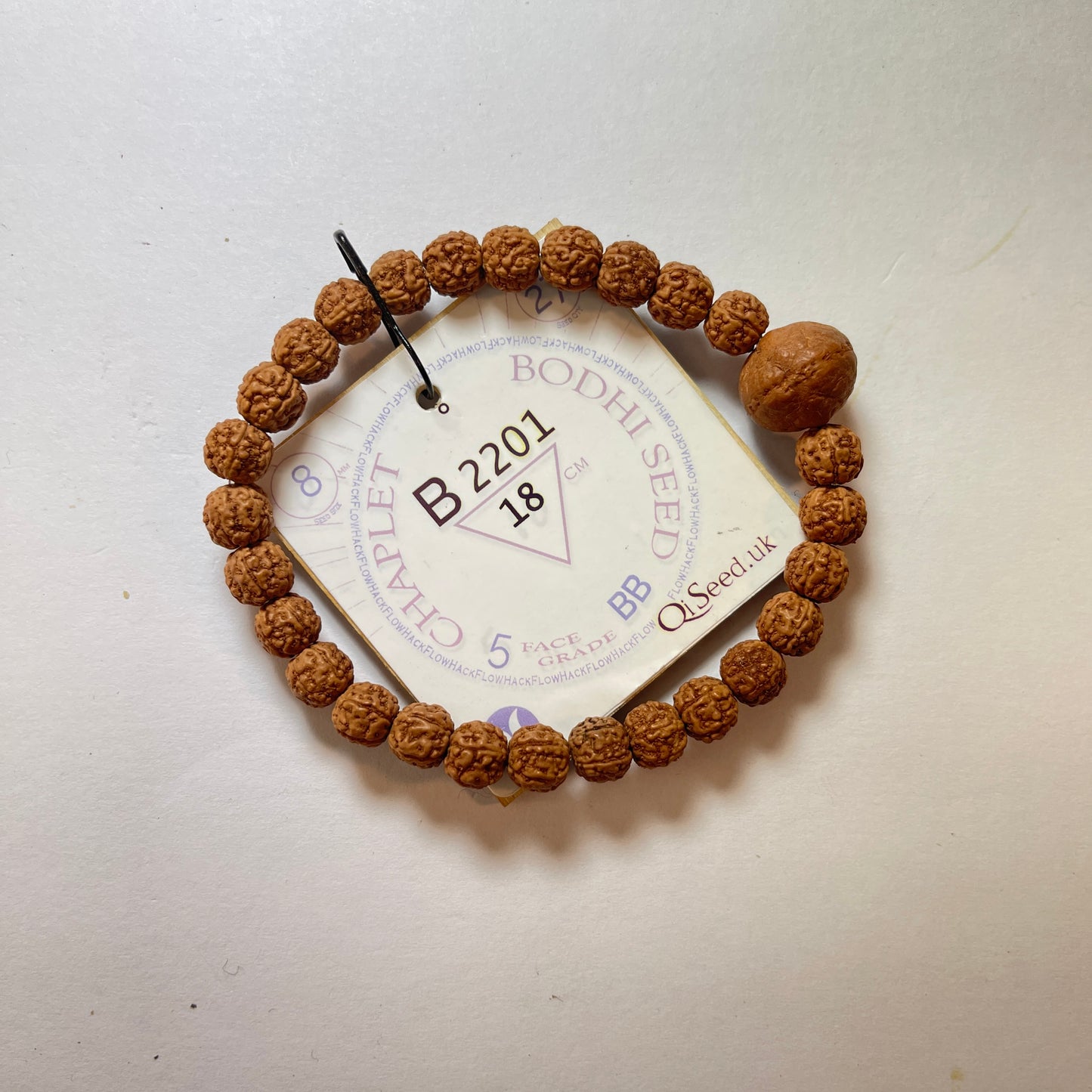 Bodhi Seed Chaplet (27 Rudraksha • 18 cm Fit) | Class BB | No. B2201