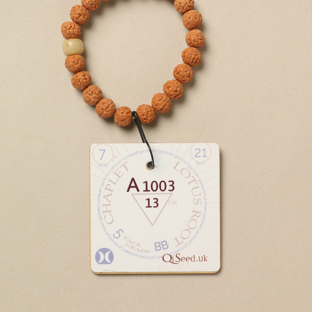 A1003 - Lotus Root Chaplet 13 cm XS+