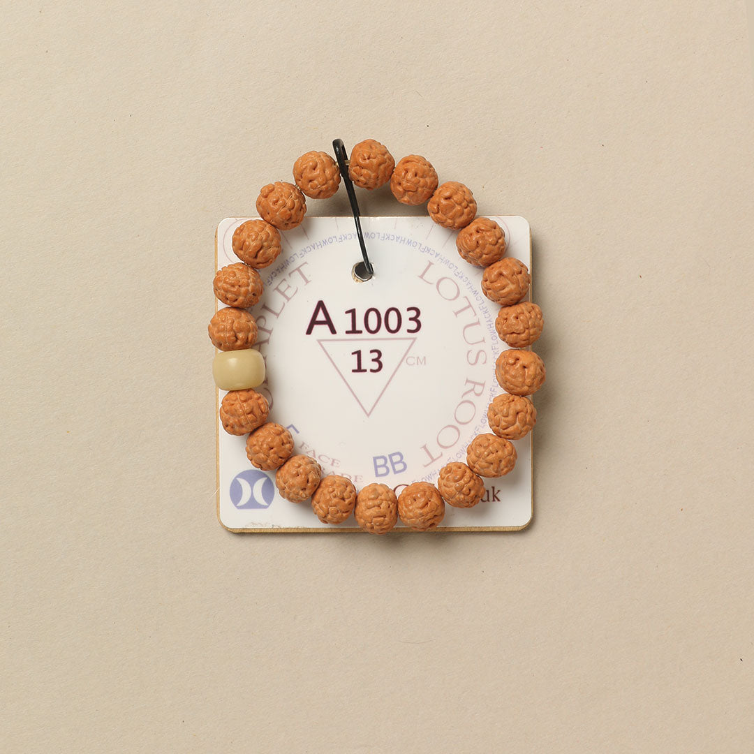 Lotus Root Chaplet (21 Rudraksha • 13 cm Fit) | Class BB | No. A1003
