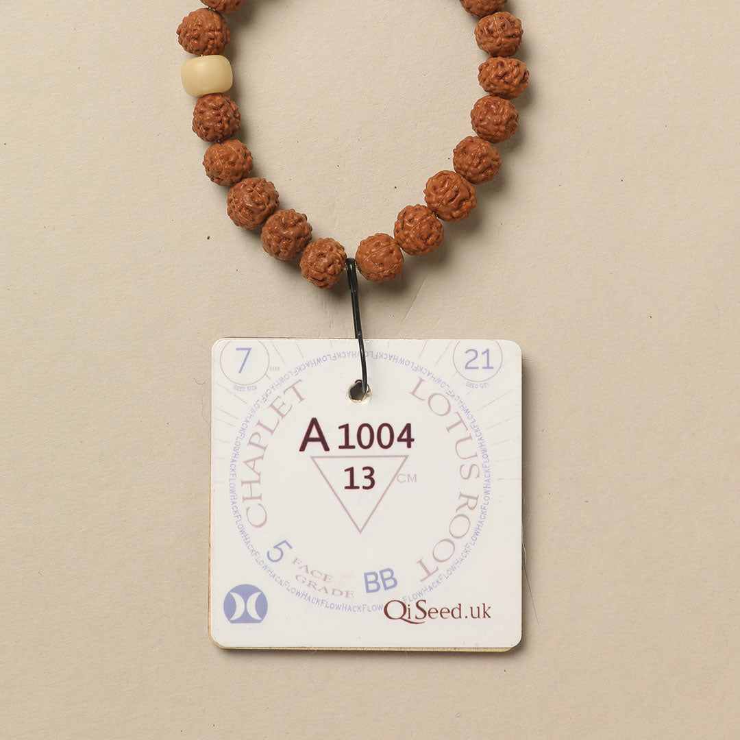 A1004 - Lotus Root Chaplet 13 cm XS+