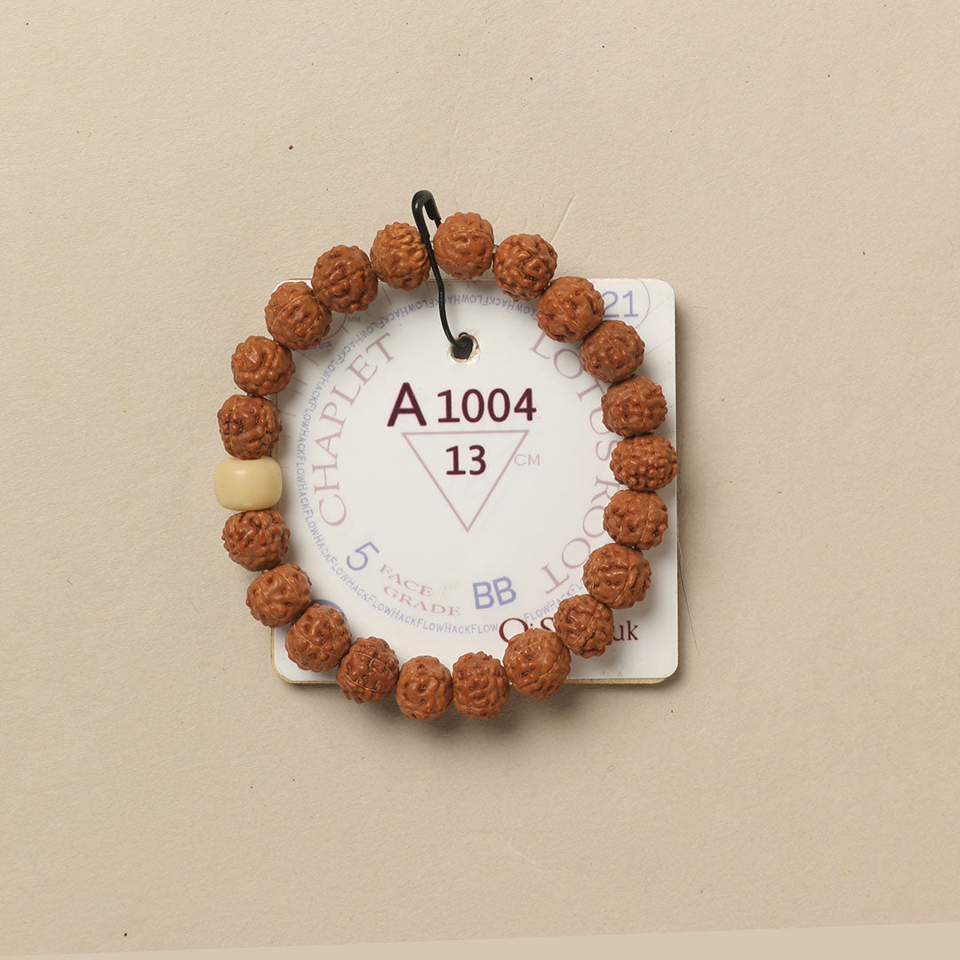 Lotus Root Chaplet (21 Rudraksha • 13 cm Fit) | Class BB | No. A1004