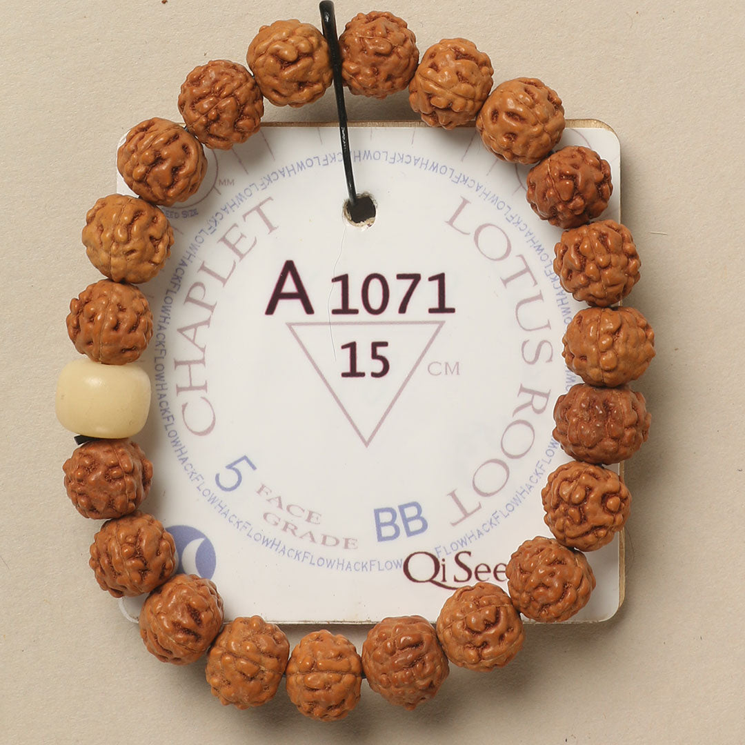 A1071 - Lotus Root Chaplet 15 cm S+