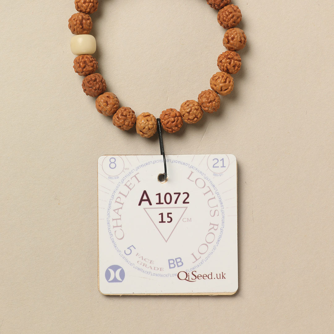 A1072 - Lotus Root Chaplet 15 cm S+