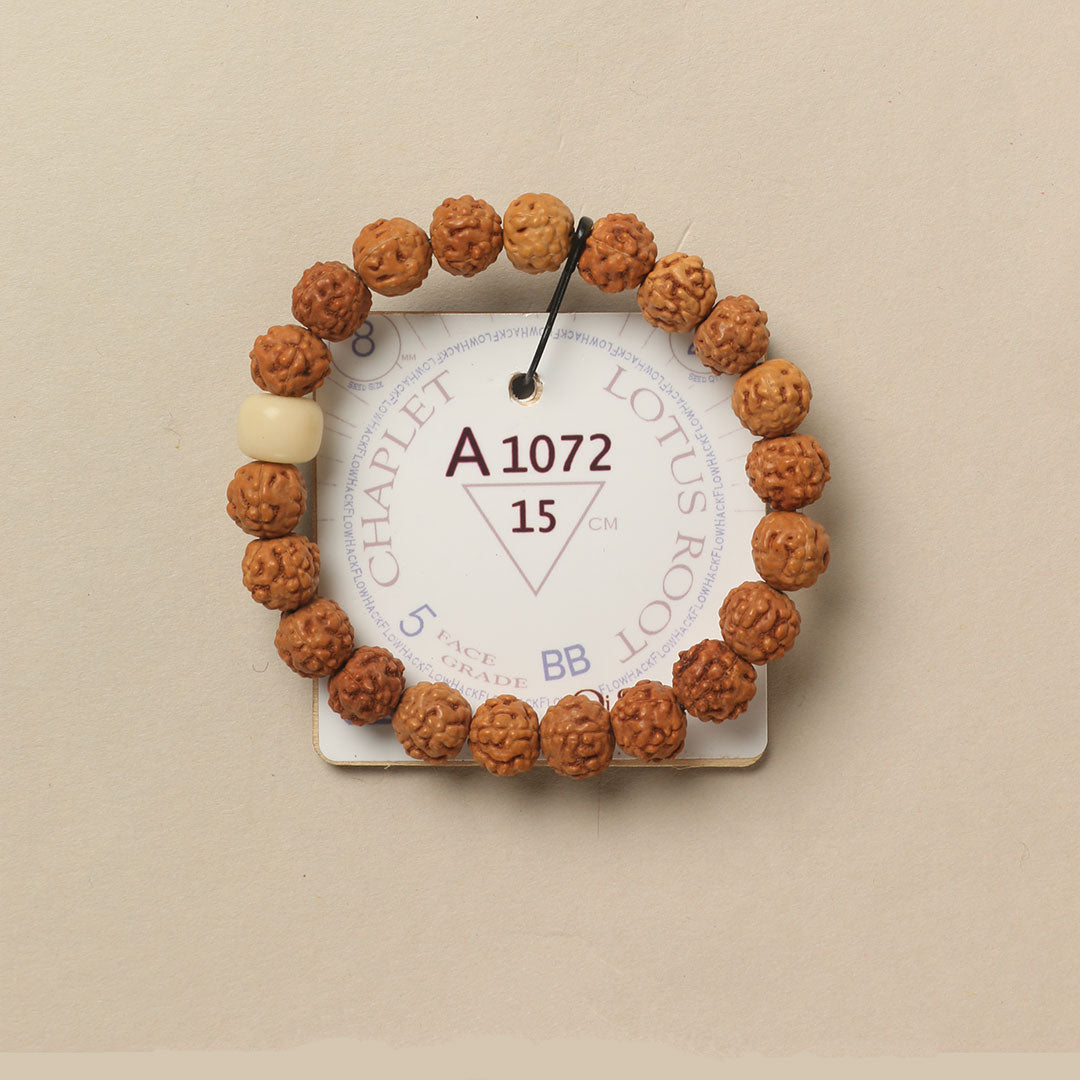 Lotus Root Chaplet (21 Rudraksha • 15 cm Fit) | Class BB | No. A1072