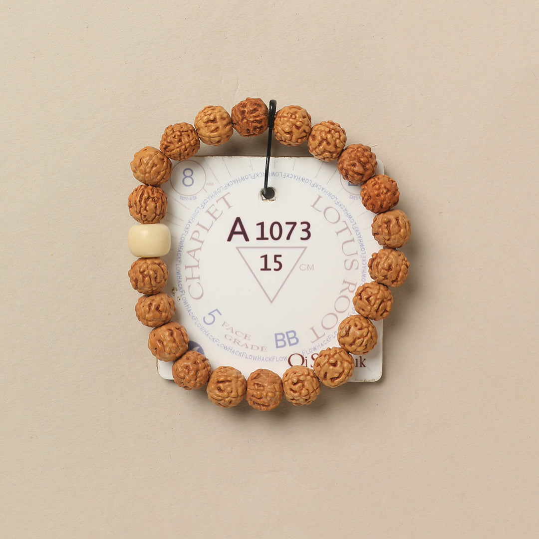 Lotus Root Chaplet (21 Rudraksha • 15 cm Fit) | Class BB | No. A1073