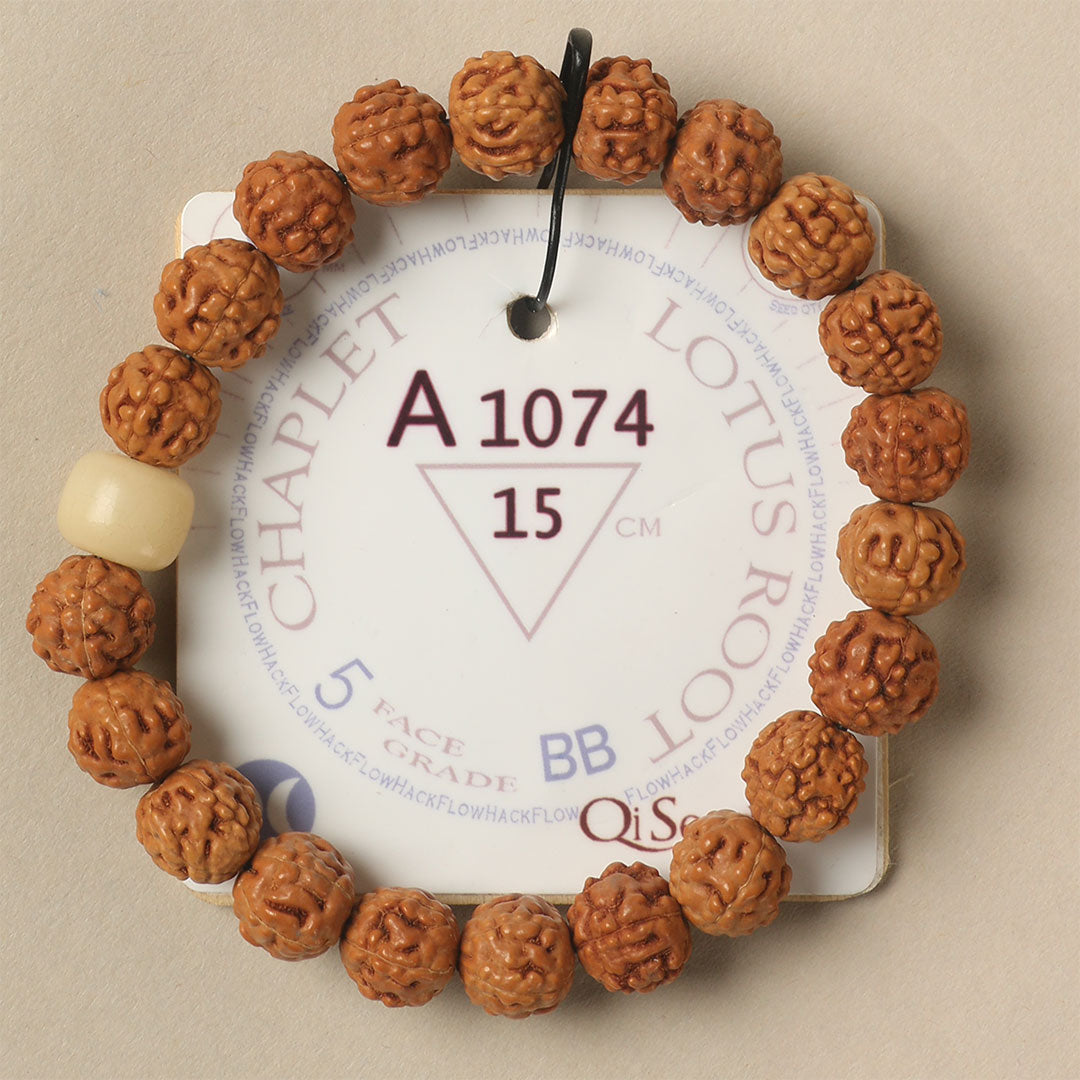 A1074 - Lotus Root Chaplet 15 cm S+