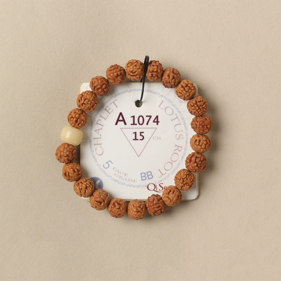 Lotus Root Chaplet (21 Rudraksha • 15 cm Fit) | Class BB | No. A1074