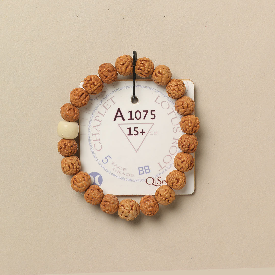 Lotus Root Chaplet (21 Rudraksha • 15+ cm Fit) | Class BB | No. A1075