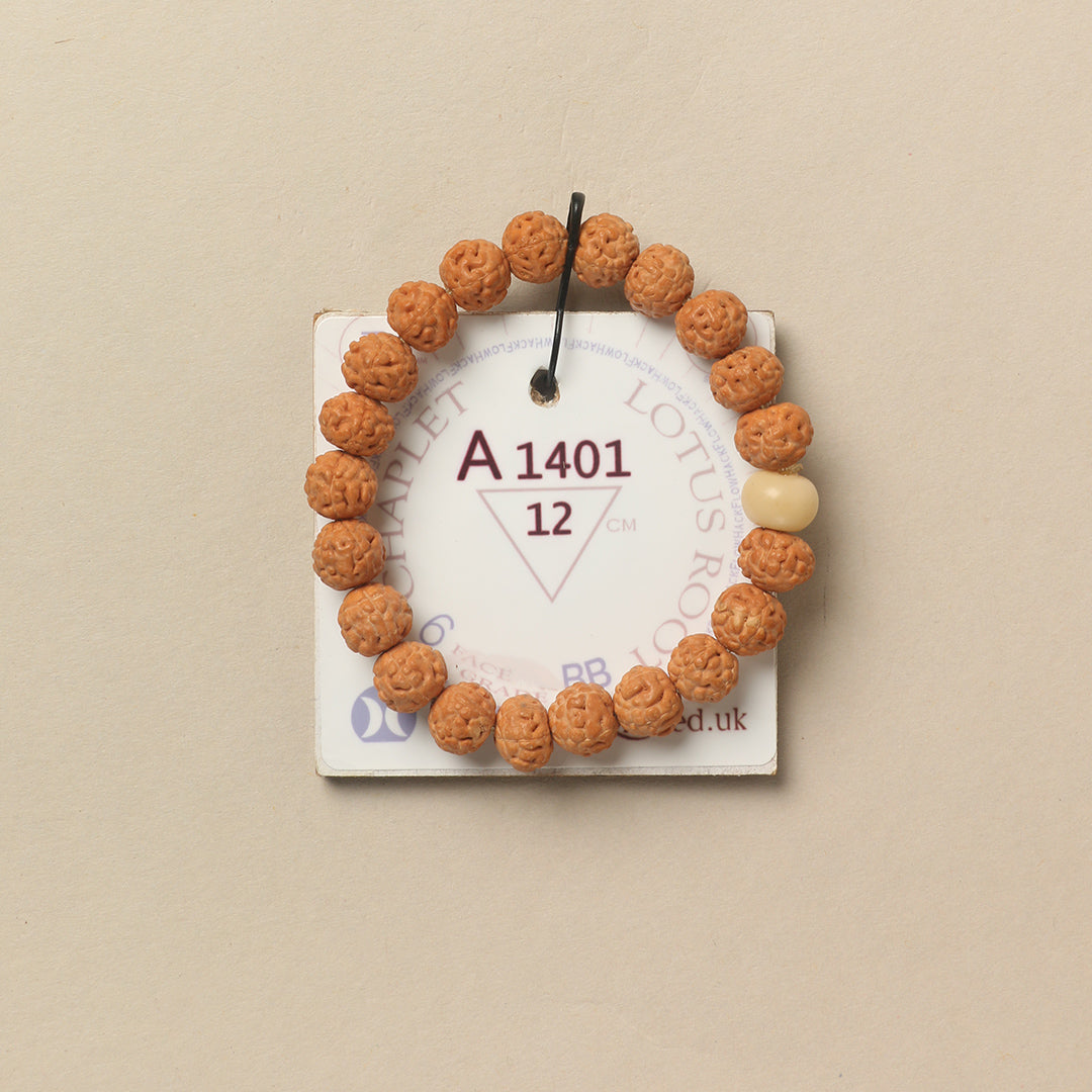 Lotus Root Chaplet (21 Rudraksha • 12 cm Fit) | Class BB | No. A1401