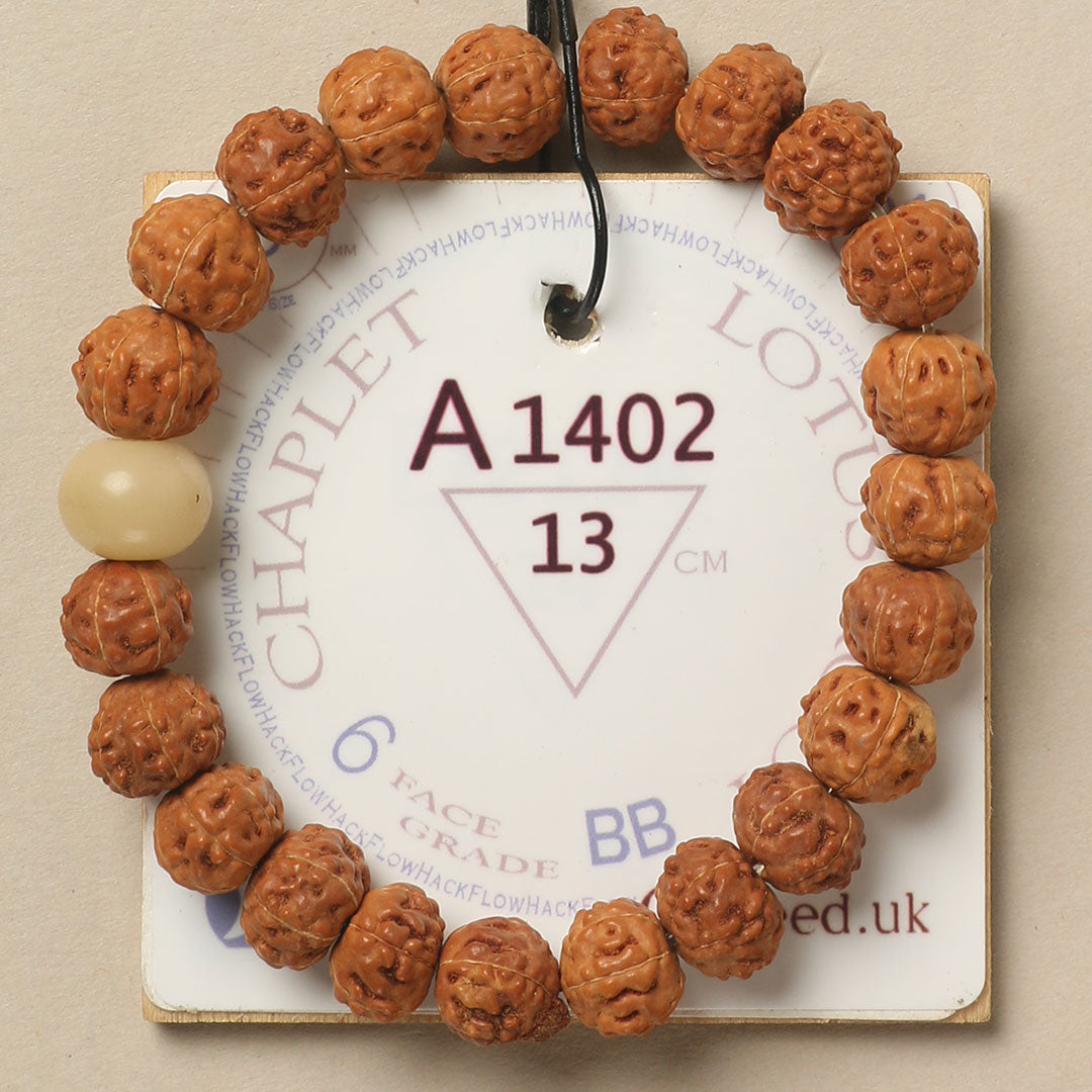 A1402 - Lotus Root Chaplet 13 cm XS+