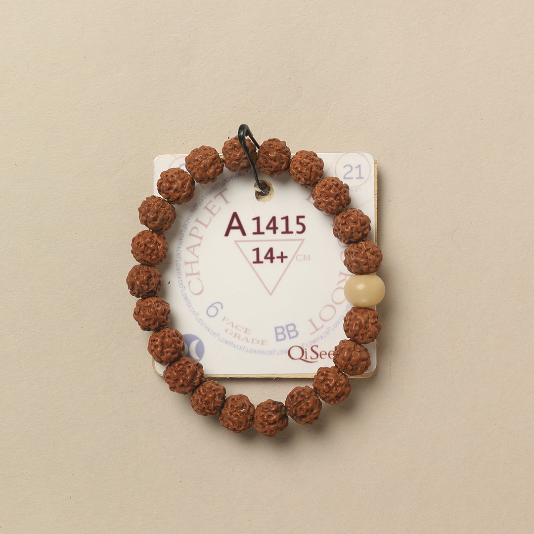Lotus Root Chaplet (21 Rudraksha • 14+ cm Fit) | Class BB | No. A1415