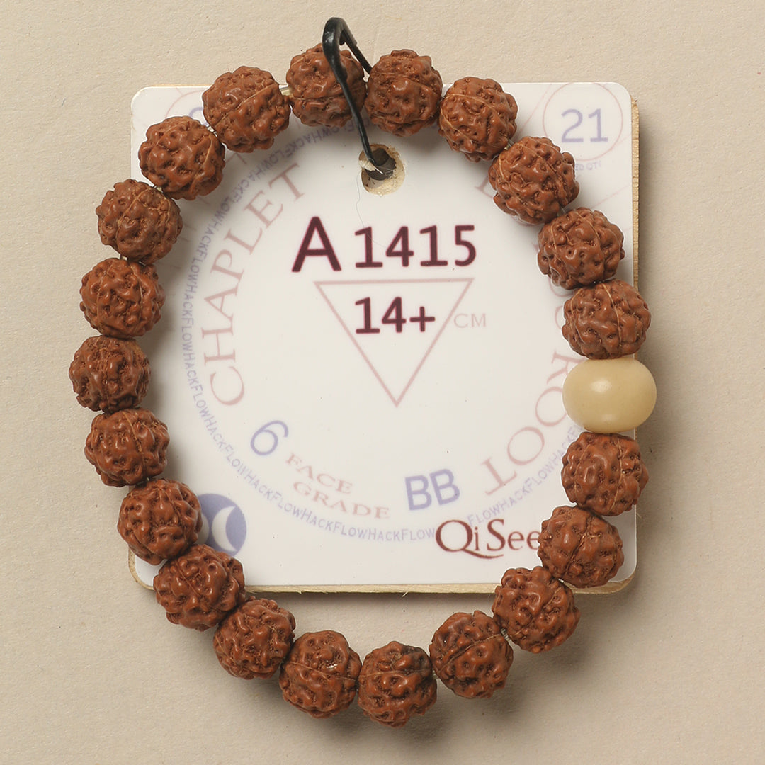 A1415 - Lotus Root Chaplet 14+ cm S