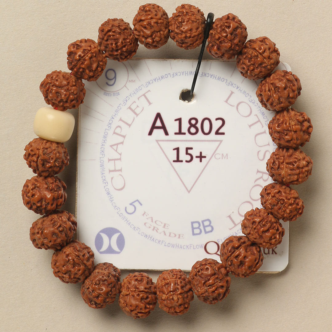 A1802 - Lotus Root Chaplet 15+ cm S+