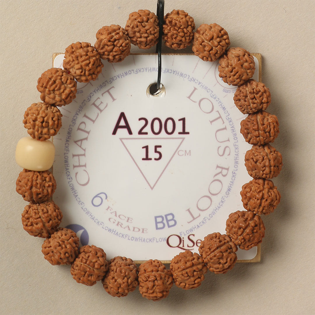 A2001 - Lotus Root Chaplet 15 cm S+