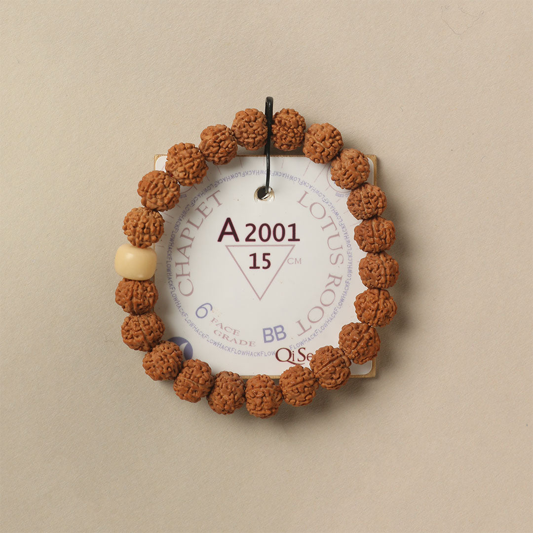 Lotus Root Chaplet (21 Rudraksha • 15 cm Fit) | Class BB | No. A2001
