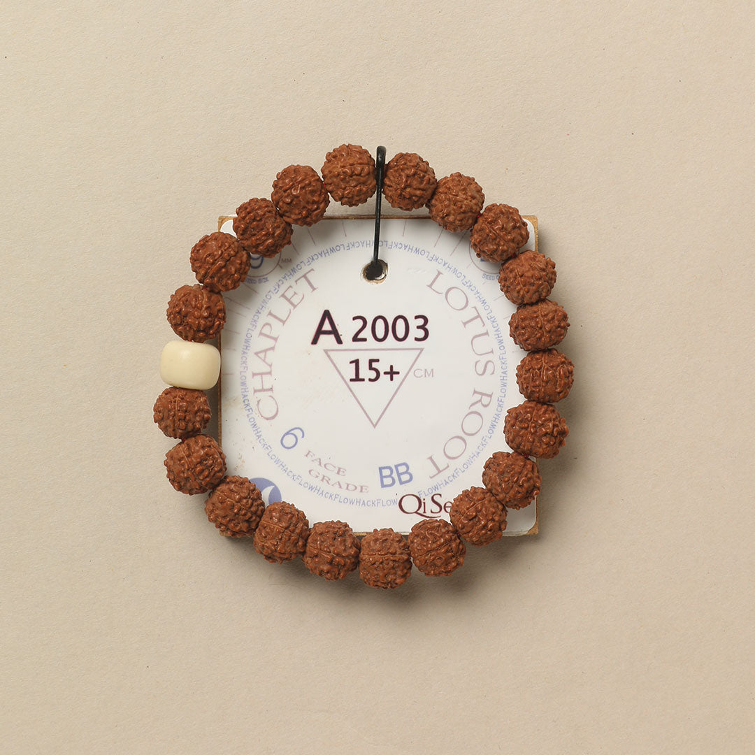 Lotus Root Chaplet (21 Rudraksha • 15+ cm Fit) | Class BB | No. A2003