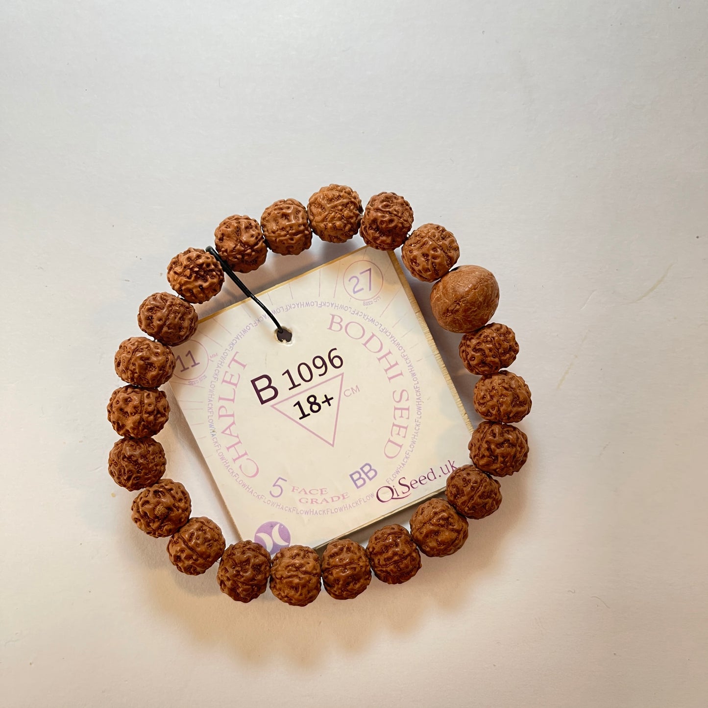 Bodhi Seed Chaplet (21 Rudraksha • 18+ cm Fit) | Class BB | No. B1096