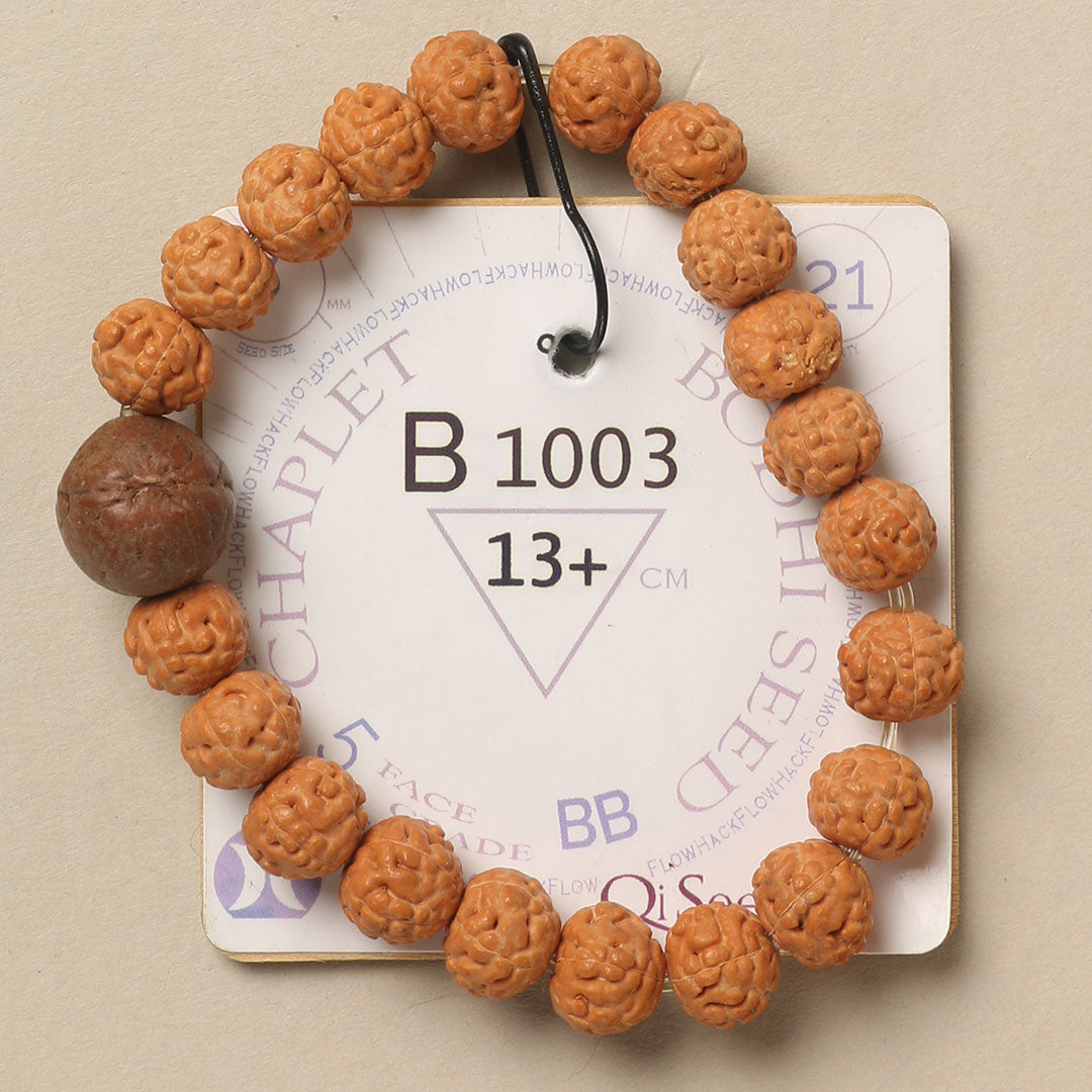 B1003 - Bodhi Seed Chaplet 13+ cm XS+