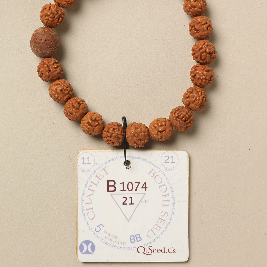 B1074 - Bodhi Seed Chaplet 21 cm XL+