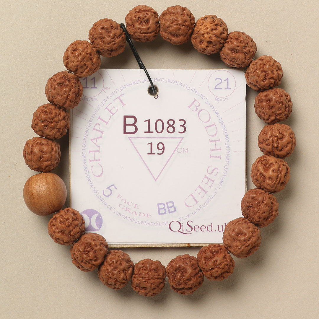 B1083 - Bodhi Seed Chaplet 19 cm L+