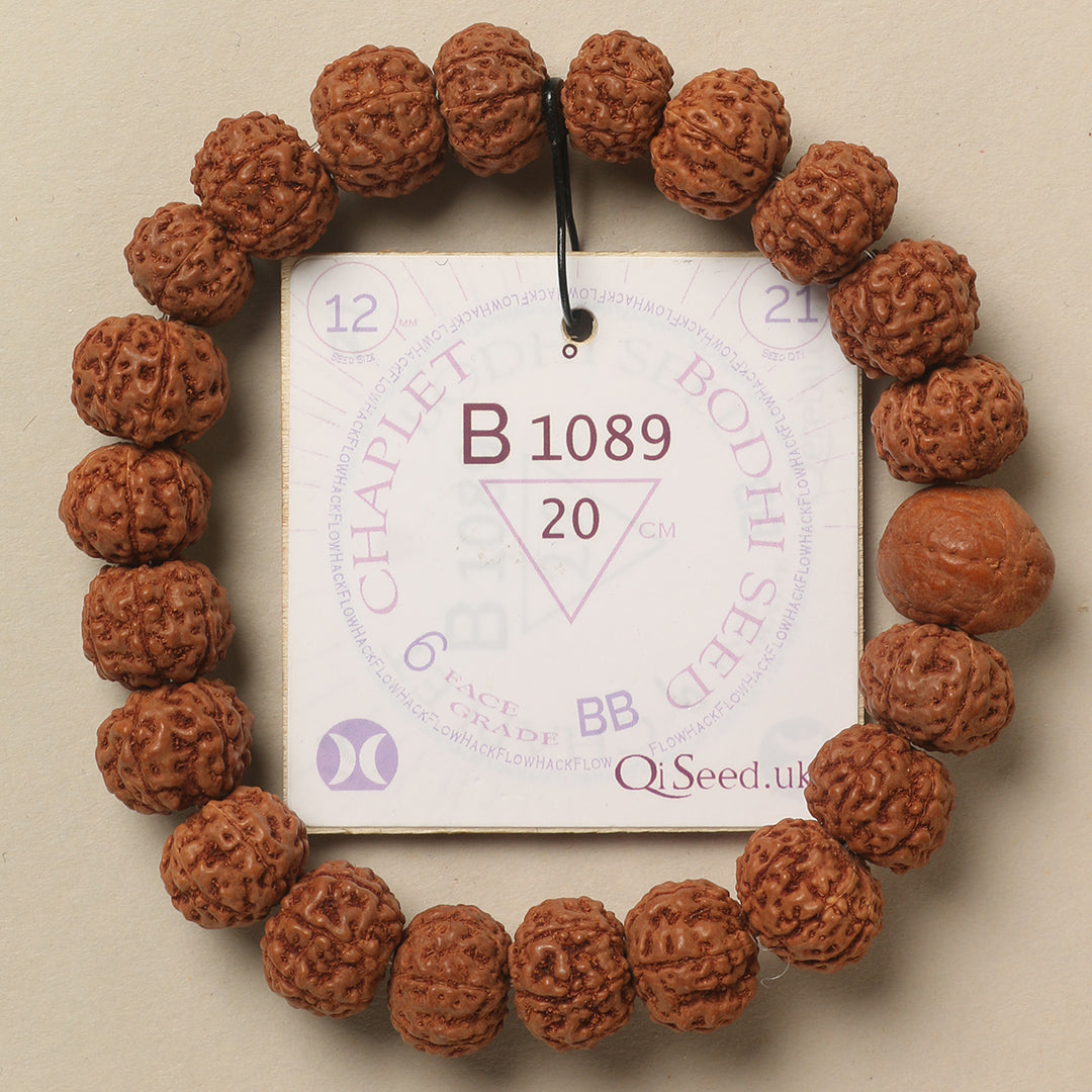 B1089 - Bodhi Seed Chaplet 20 cm XL