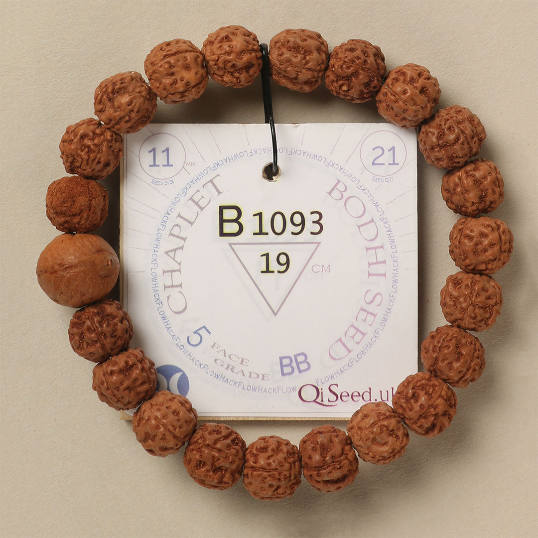 B1093 - Bodhi Seed Chaplet 19 cm L+