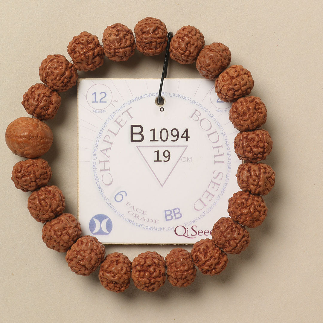 B1094 - Bodhi Seed Chaplet 19 cm L+