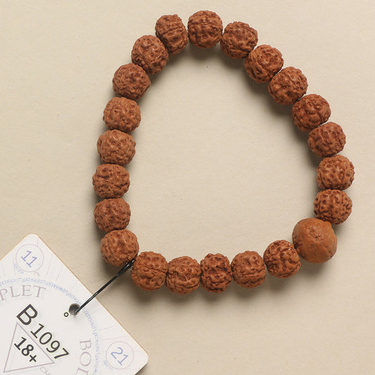 B1097 - Bodhi Seed Chaplet 18+ cm L