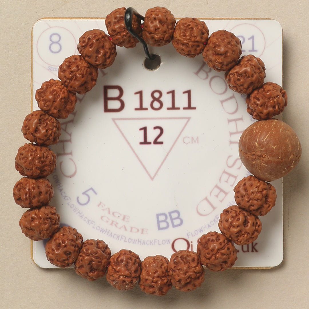 B1811 - Bodhi Seed Chaplet 12 cm XS
