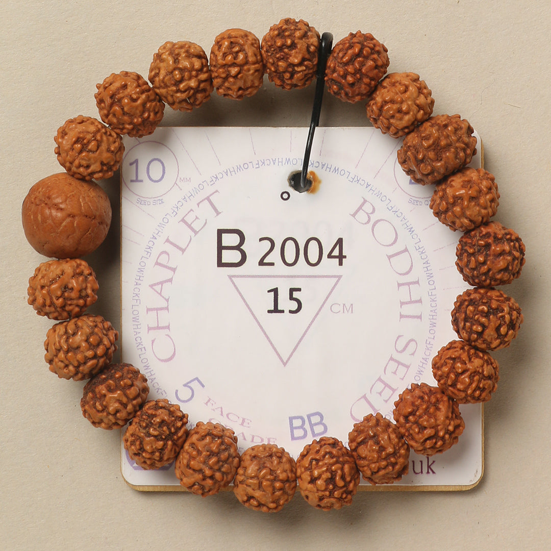 B2004 - Bodhi Seed Chaplet 15 cm S+