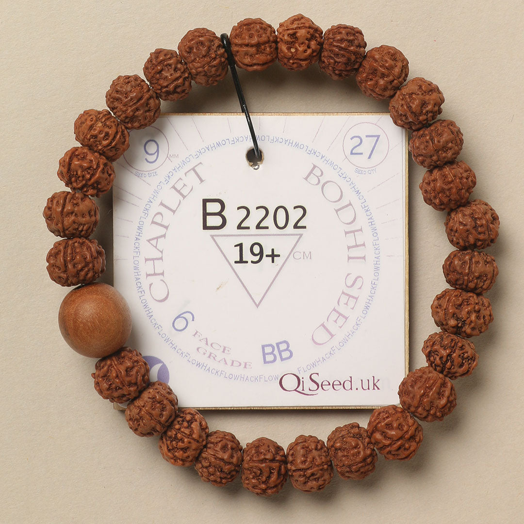 B2202 - Bodhi Seed Chaplet 19+ cm L+