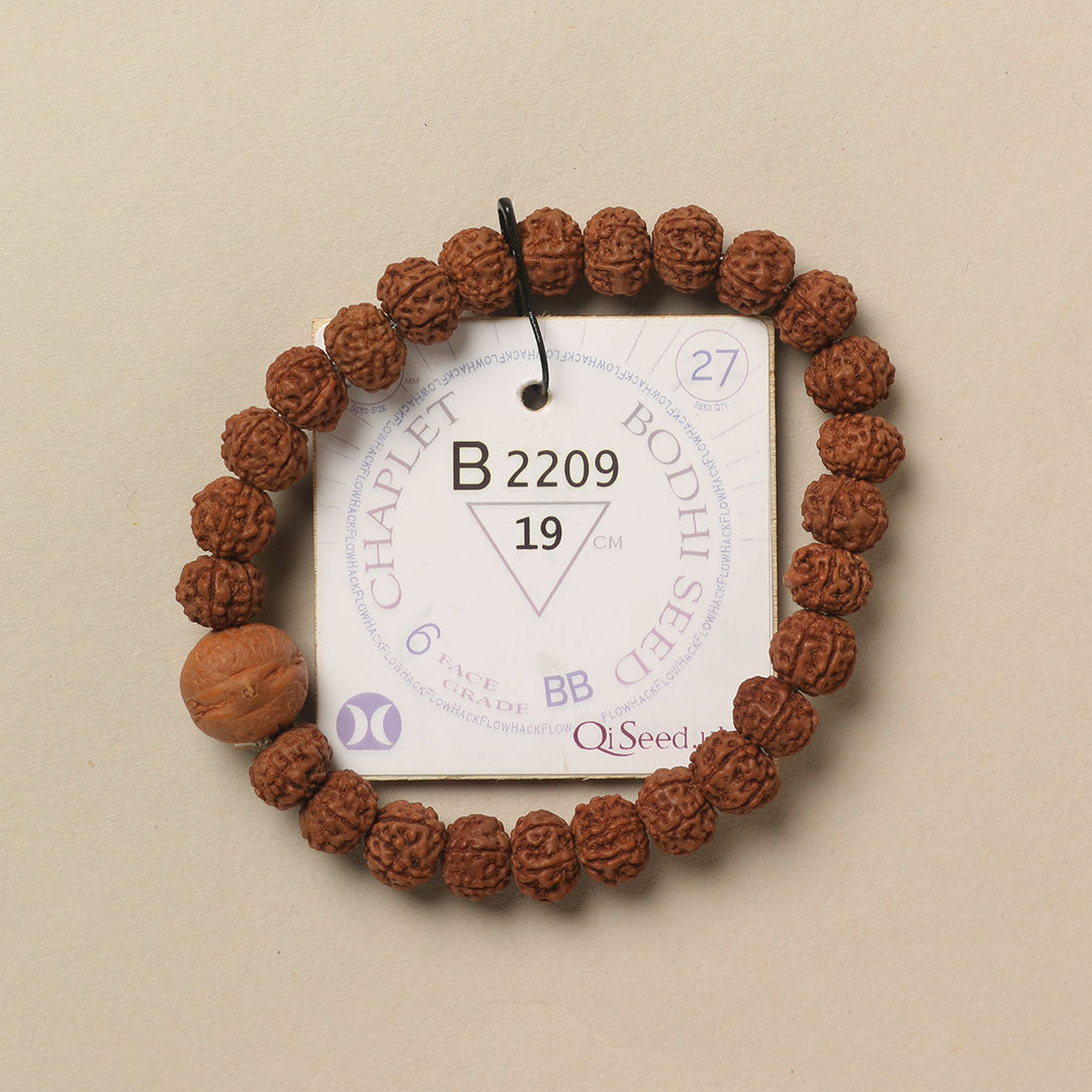 Bodhi Seed Chaplet (27 Rudraksha • 19 cm Fit) | Class BB | No. B2209