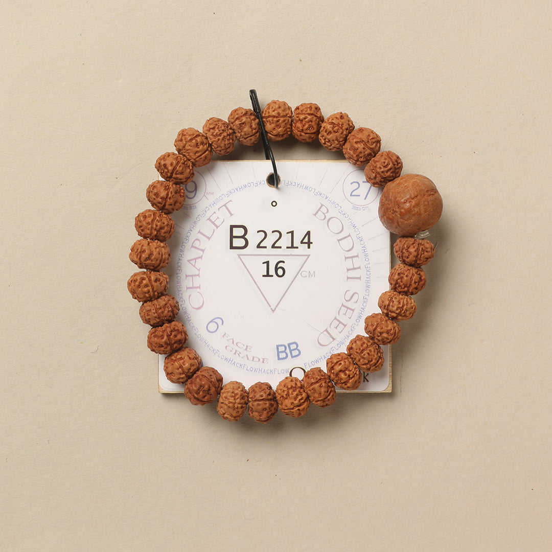 Bodhi Seed Chaplet (27 Rudraksha • 16 cm Fit) | Class BB | No. B2214