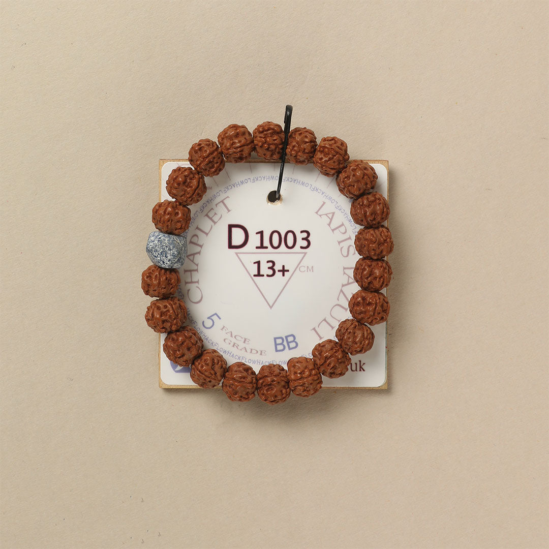 Lapis Lazuli Chaplet (21 Rudraksha • 13+ cm Fit) | Class BB | No. D1003
