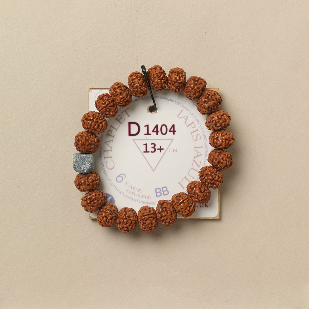 Lapis Lazuli Chaplet (21 Rudraksha • 13+ cm Fit) | Class BB | No. D1404