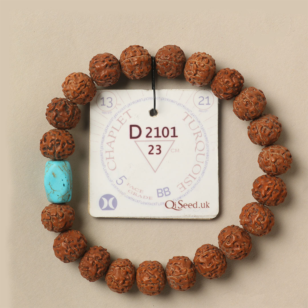 Turquoise Chaplet (21 Rudraksha • 23 cm Fit) | Class BB | No. D2101