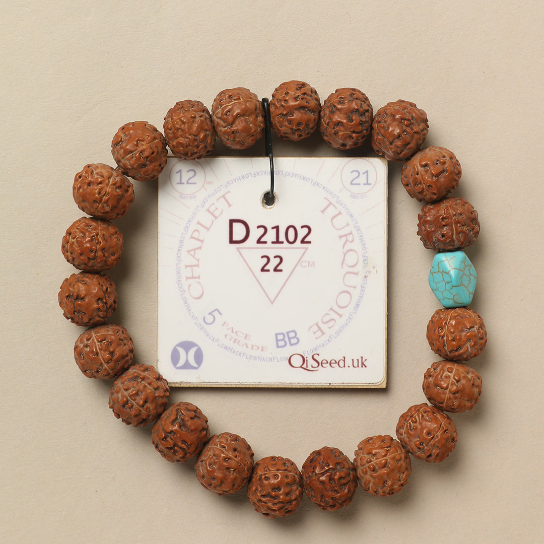 Turquoise Chaplet (21 Rudraksha • 22 cm Fit) | Class BB | No. D2102