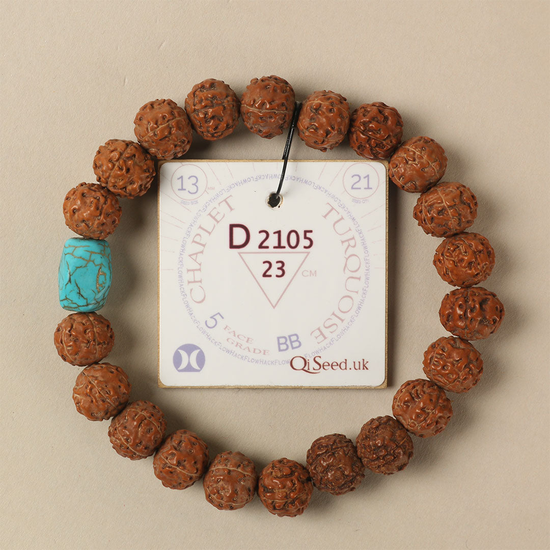 Turquoise Chaplet (21 Rudraksha • 23 cm Fit) | Class BB | No. D2105