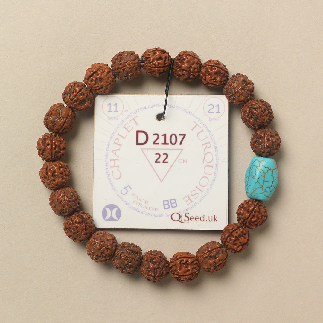 Turquoise Chaplet (21 Rudraksha • 22 cm Fit) | Class BB | No. D2107