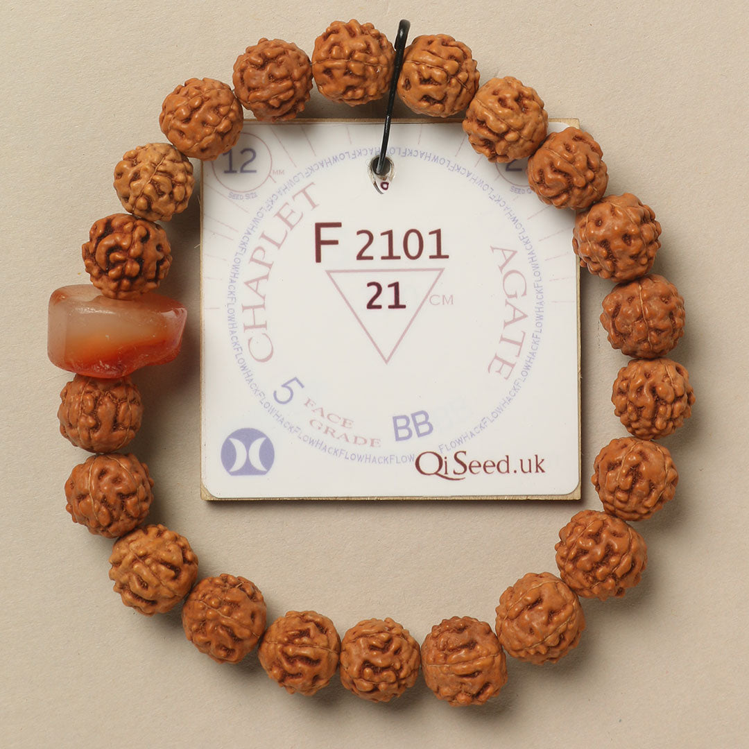 F2101 - Agate Chaplet 21 cm XL+