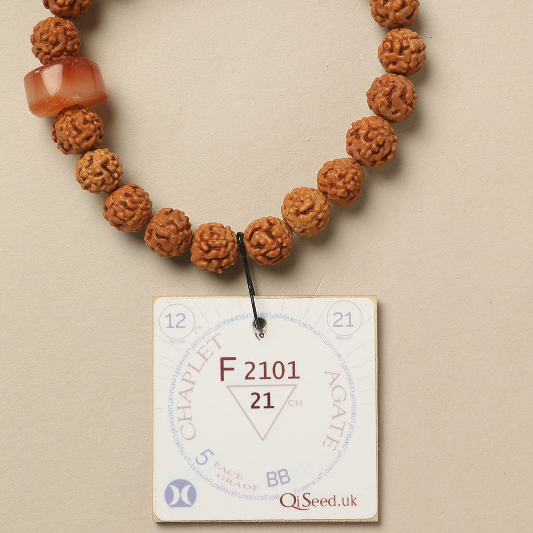 F2101 - Agate Chaplet 21 cm XL+