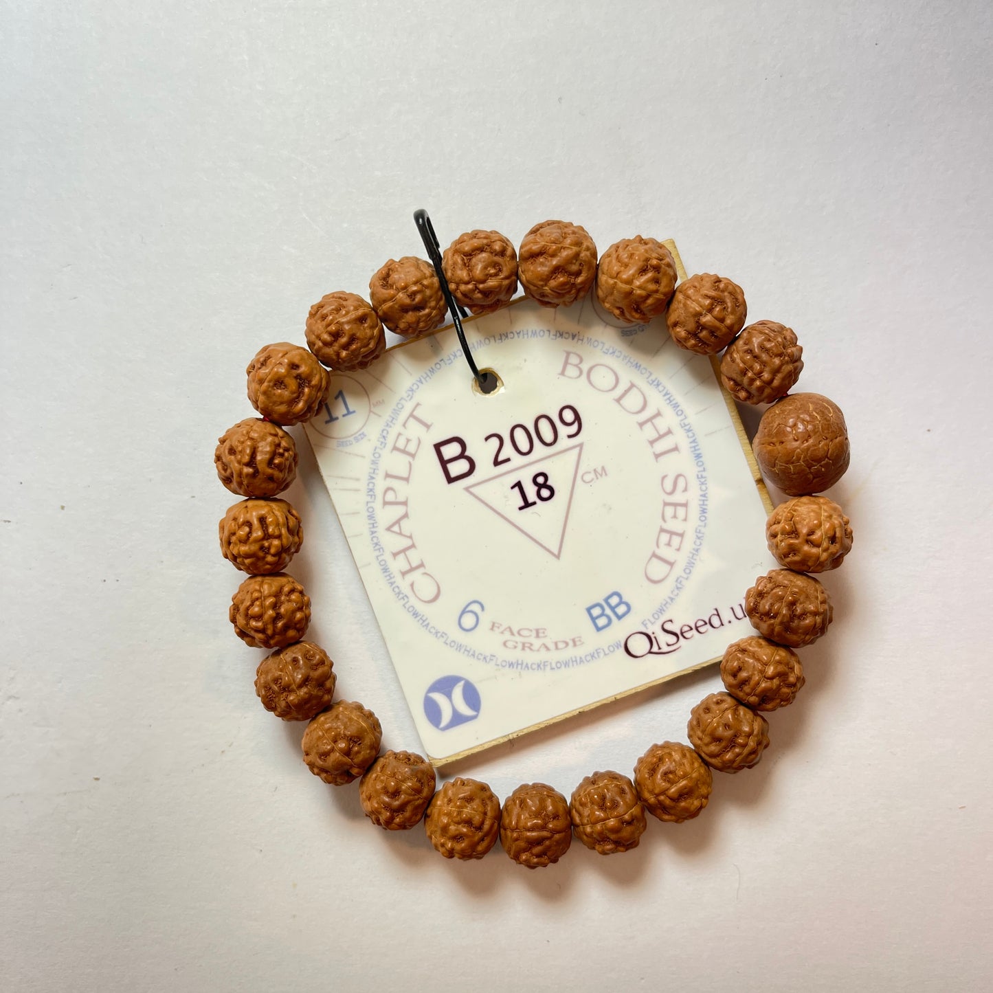 Bodhi Seed Chaplet (21 Rudraksha • 18 cm Fit) | Class BB | No. B2009