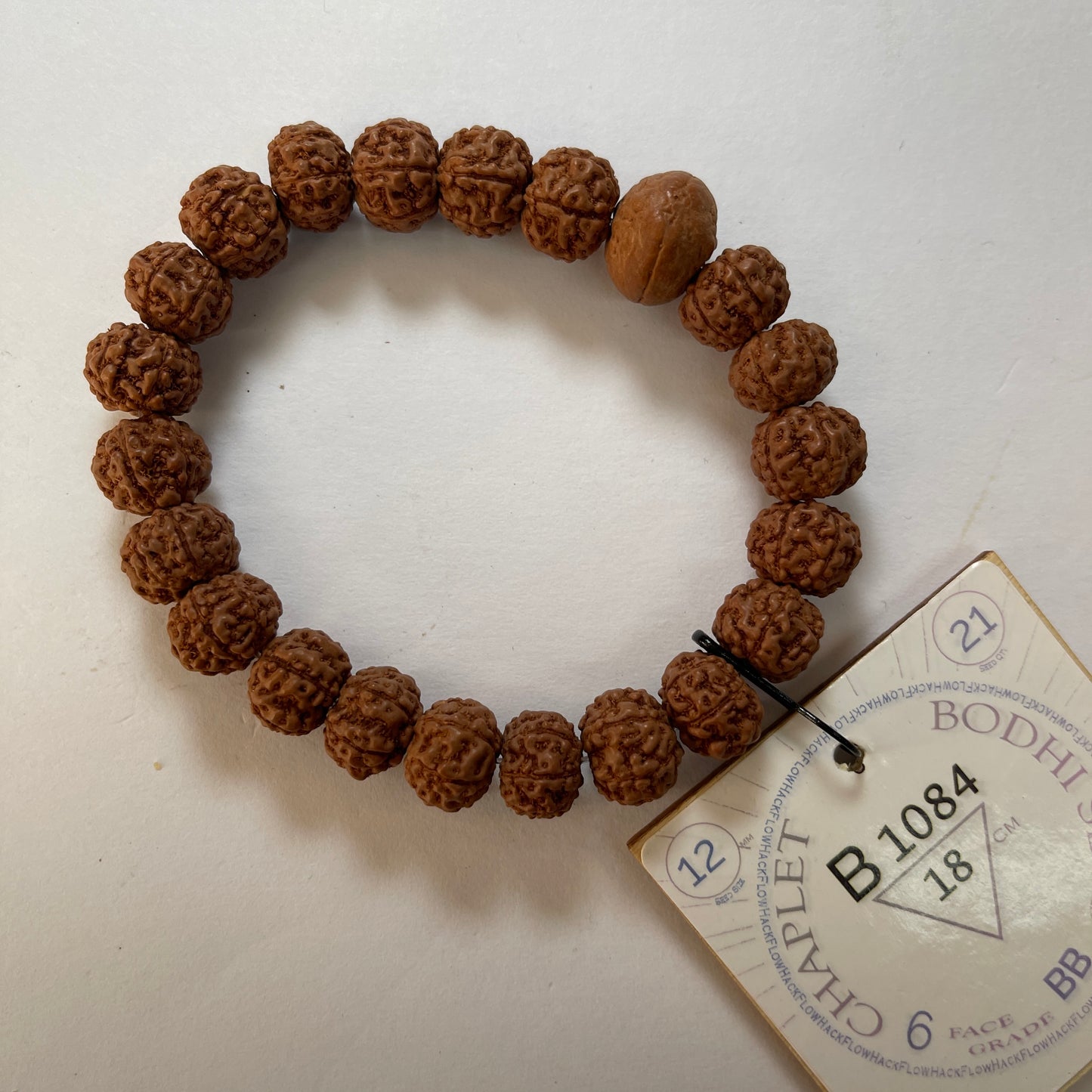 Bodhi Seed Chaplet (21 Rudraksha • 18 cm Fit) | Class BB | No. B1084