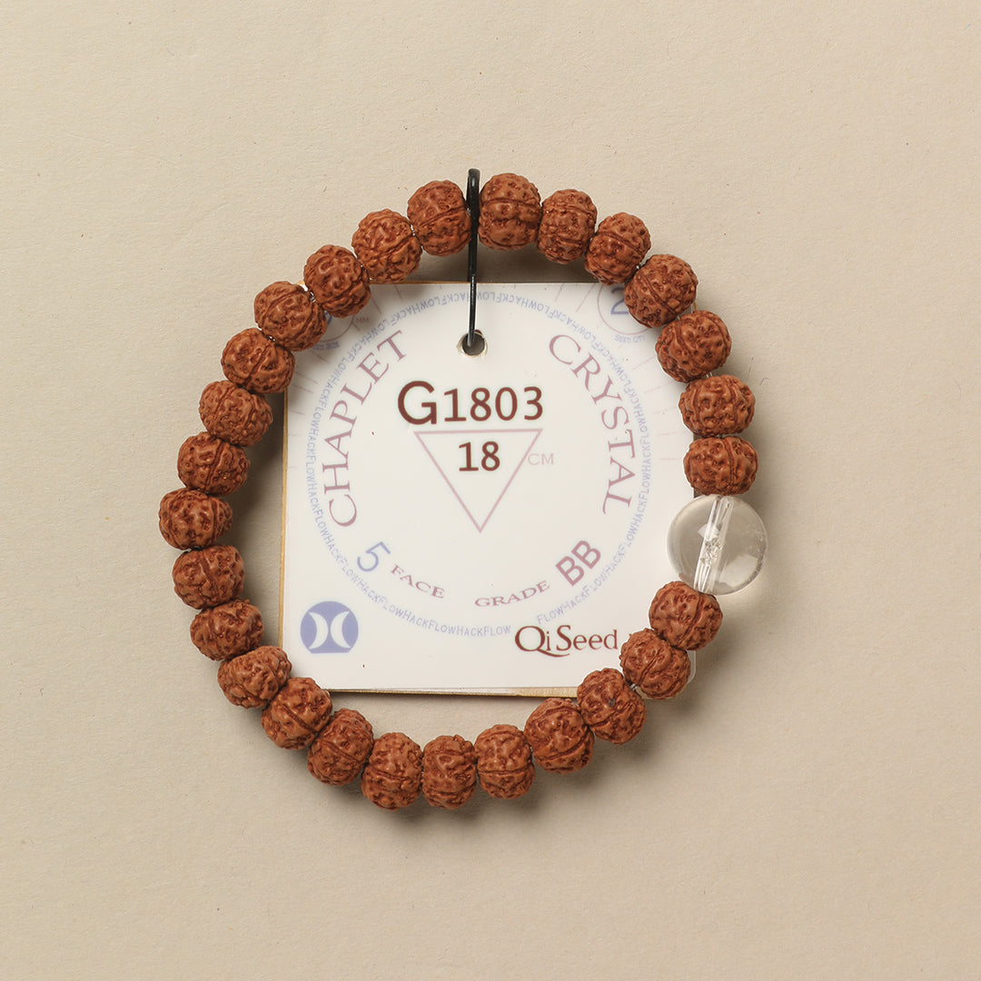Crystal Chaplet (27 Rudraksha • 18 cm Fit) | Class BB | No. G1803