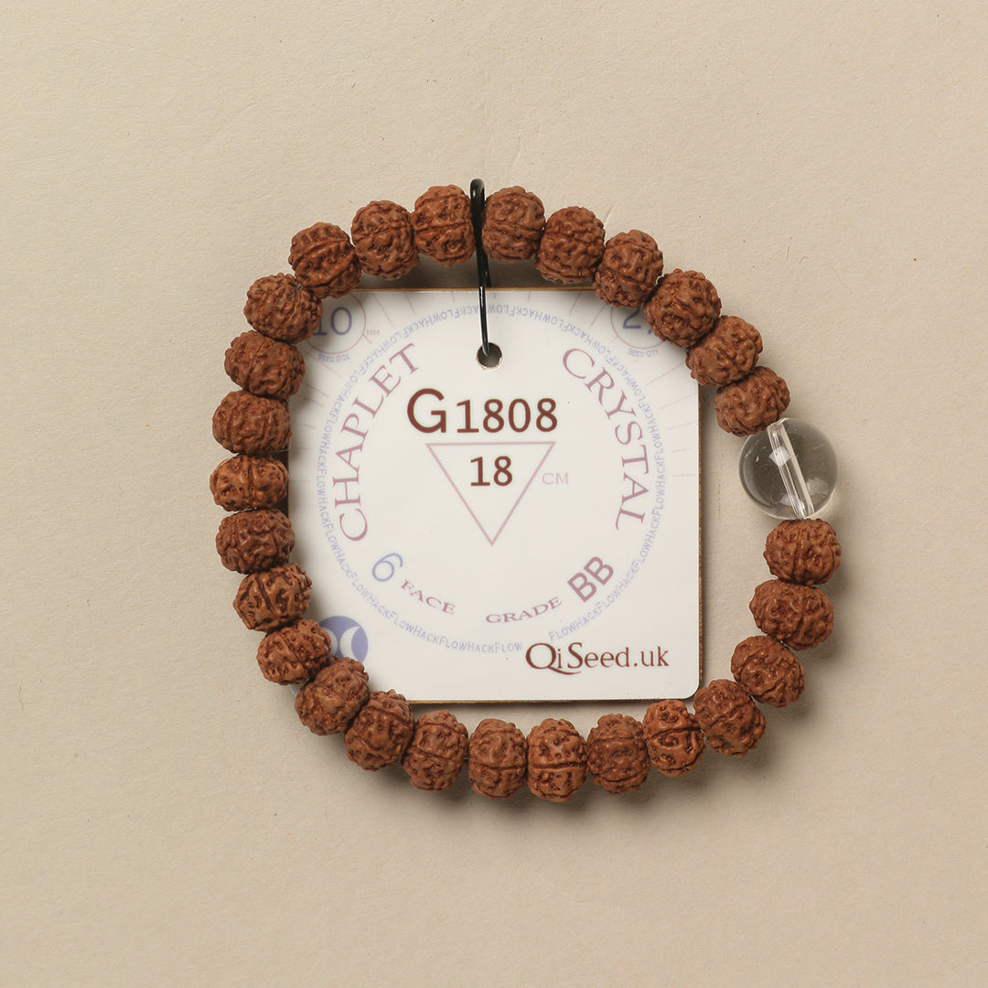 Crystal Chaplet (27 Rudraksha • 18 cm Fit) | Class BB | No. G1808