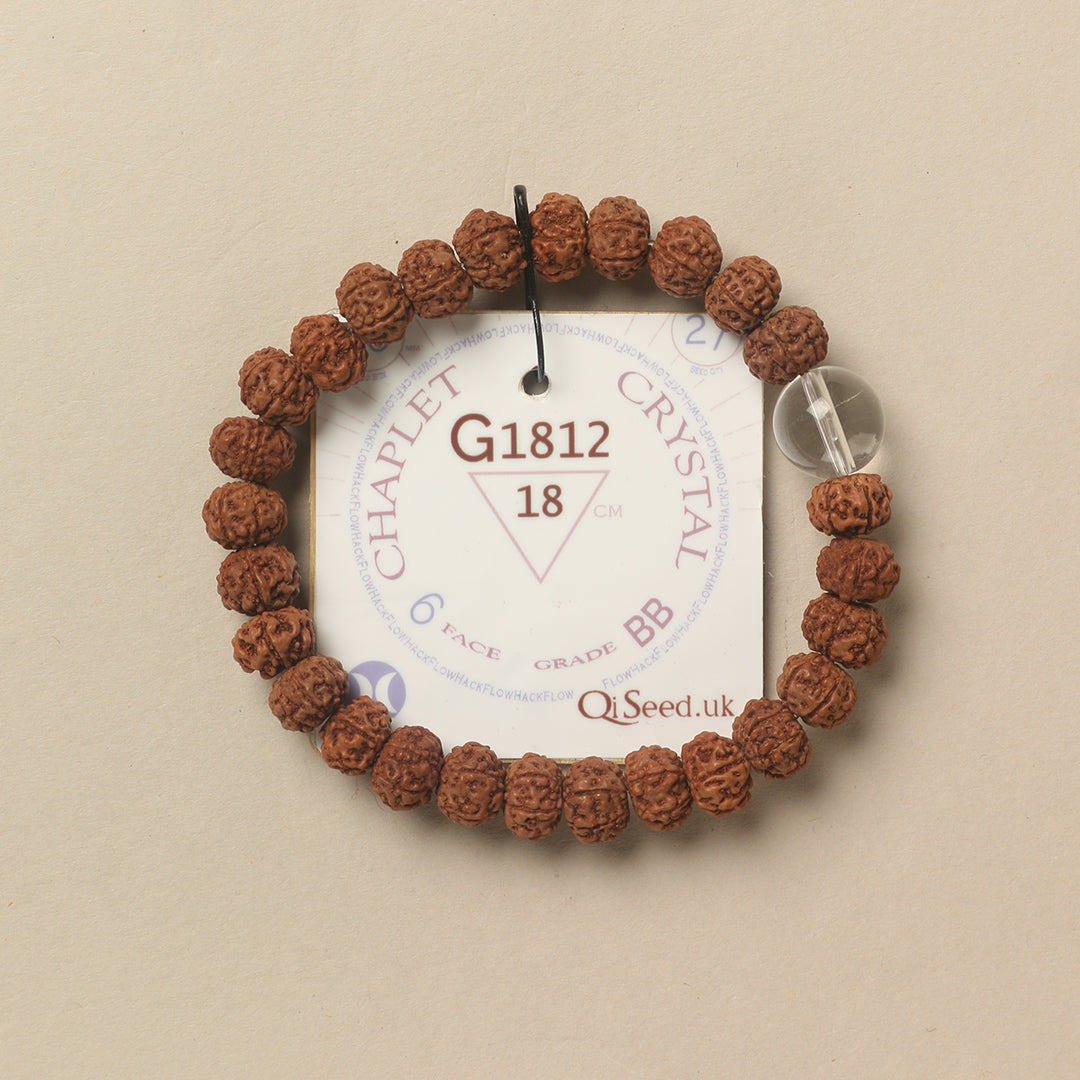 Crystal Chaplet (27 Rudraksha • 18 cm Fit) | Class BB | No. G1812