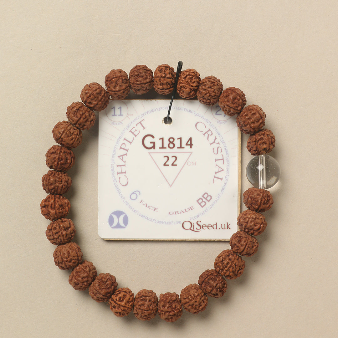 Crystal Chaplet (27 Rudraksha • 22 cm Fit) | Class BB | No. G1814