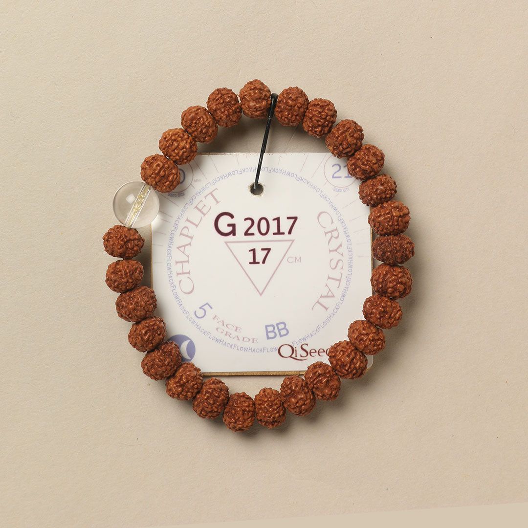 Crystal Chaplet (21 Rudraksha • 17 cm Fit) | Class BB | No. G2017