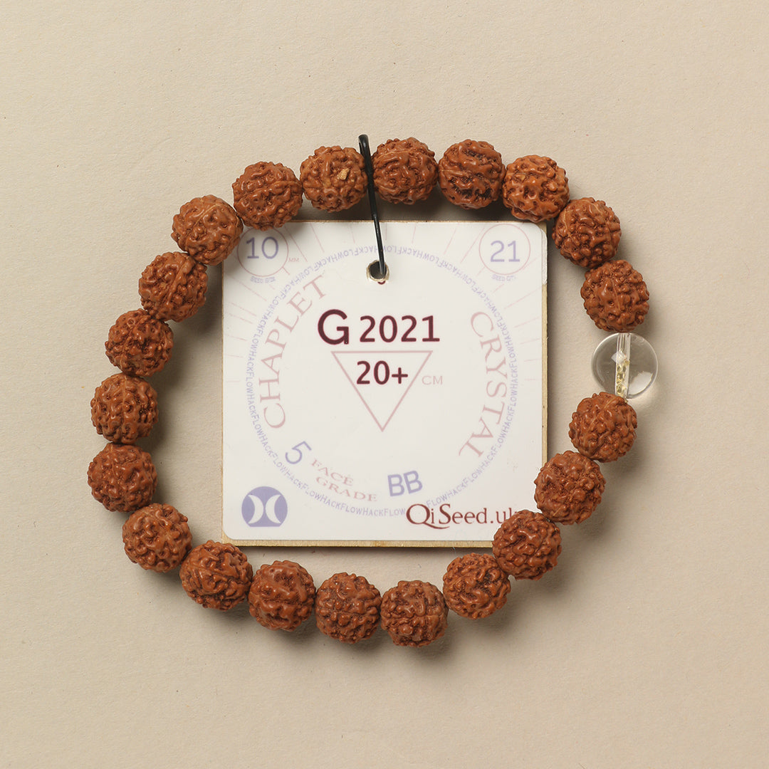 Crystal Chaplet (21 Rudraksha • 20+ cm Fit) | Class BB | No. G2021